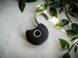 SMART PADLOCK 2 PAKKEN - 5
