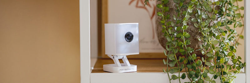 HET ULTIEME ALARMSYSTEEM - 6