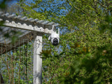 NEXSMART™ PATROL2 4G + ZONNEPANEEL PAKKEN