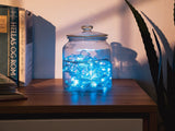 NEXSMART™ SMART LED-LICHTSNOEREN - 4