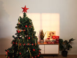 NEXSMART™ SMART LED-LICHTSNOEREN - 10