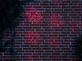 NEXSMART™ KERSTLASERPROJECTOR